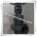 Butt Welding Compact Steel Gate Valve (classe 4500)